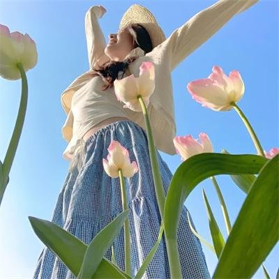 绝命毒师第二季