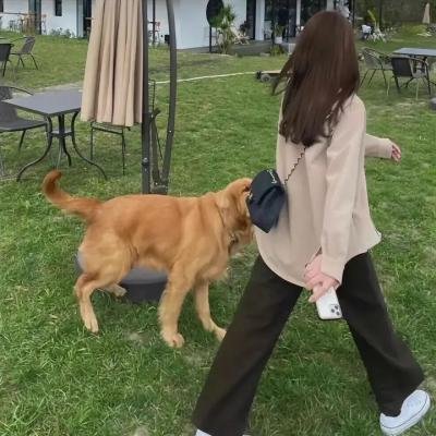 你的情歌
